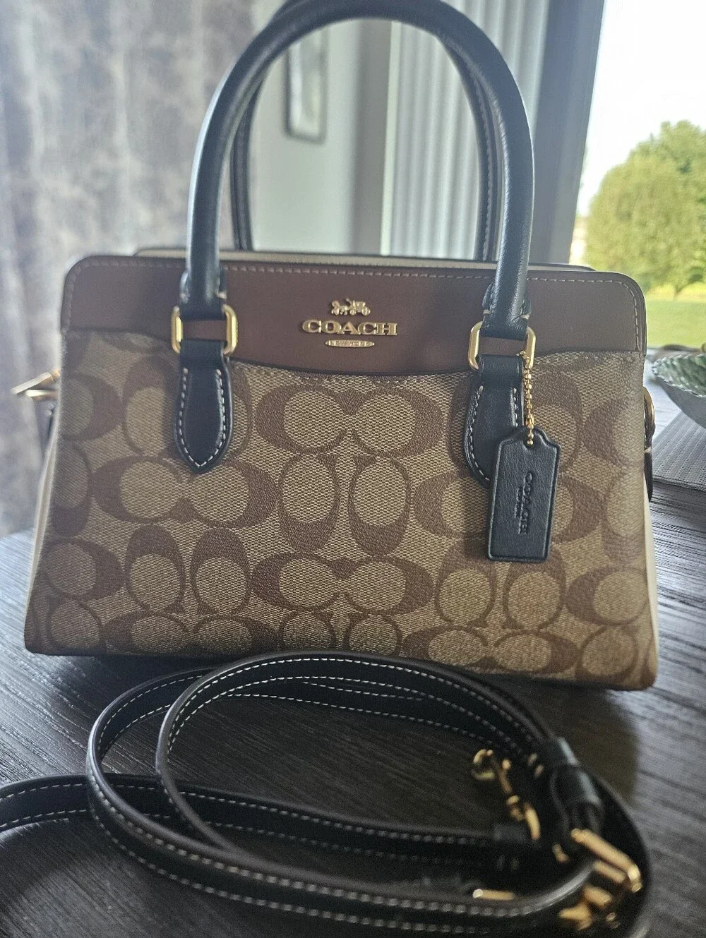 Coach Mini Darcie Colorblock Carryall
